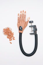 Load image into Gallery viewer, Practice hand
